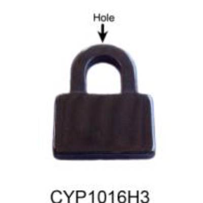 CYP1016H3