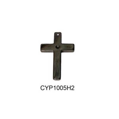 CYP1005H2