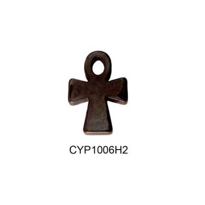 CYP1006H2