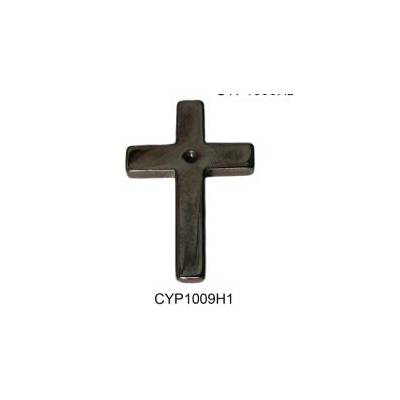 CYP1009H1