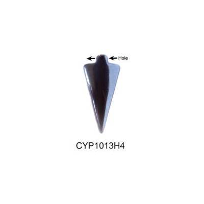 CYP1013H4